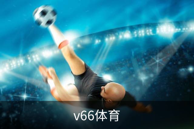 关于v66体育